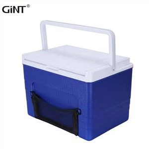 Scatola refrigerante per ghiaccio da esterno con coperchio ribaltabile